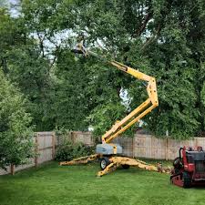 Reliable Day Valley, CA Tree Removal and Landscaping Services Solutions